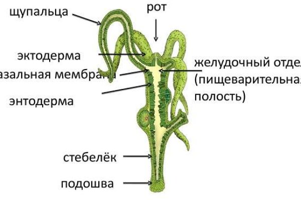 Вход в кракен чтобы купить меф