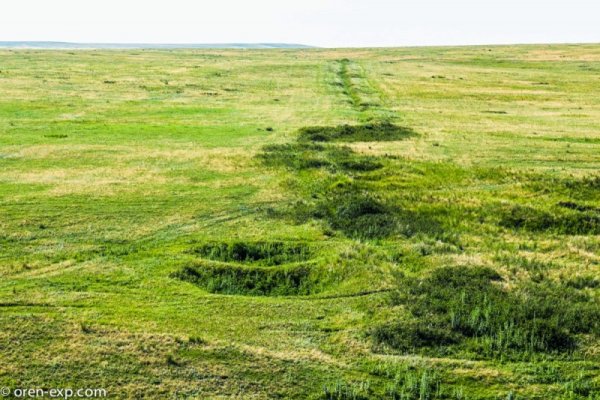 Кракен маркет даркнет только через тор скачать