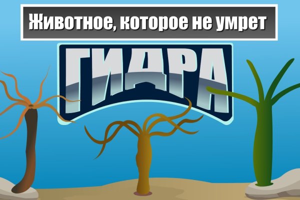 Кракен купить мефедрон